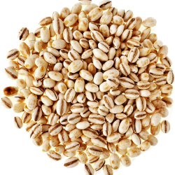 Barley-250x250-1