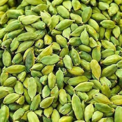 Cardamom-250x250-1