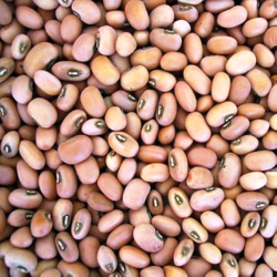Crops