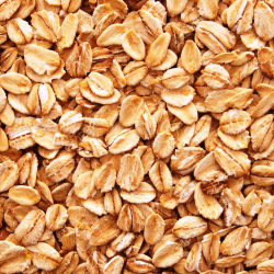 Oats-250x250-1